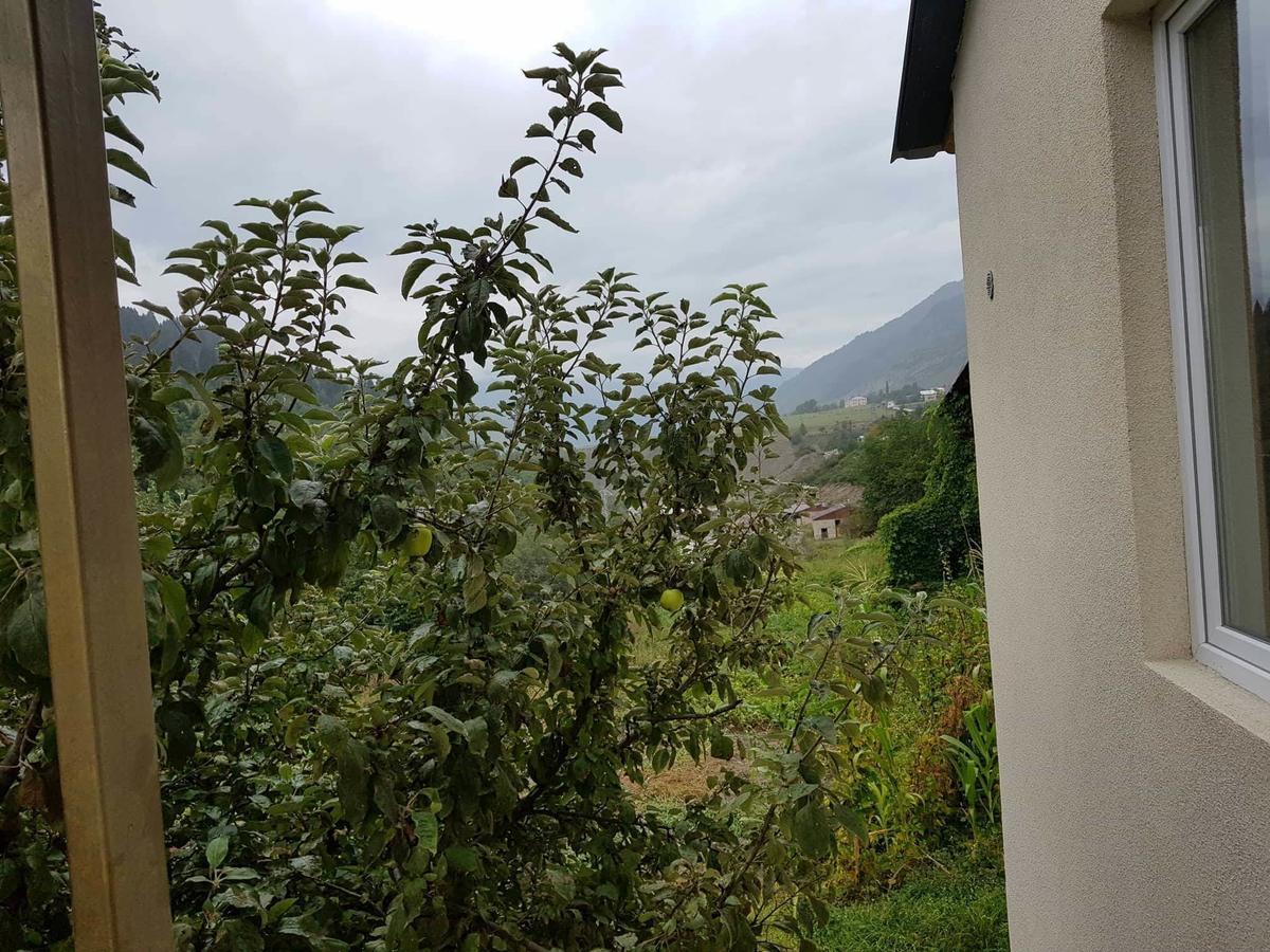 Guesthouse Guram Baba Mestia Exterior foto